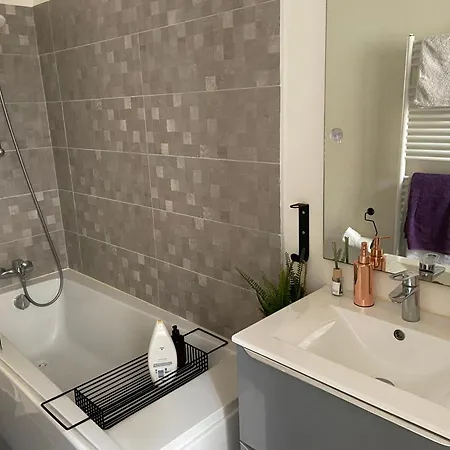 Apartment Cosy Nogent-sur-Marne